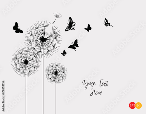 Vector illustration dandelion seed blowing in the wind. Dandelion seed icon. Dandelion on a white background. Vector illustration