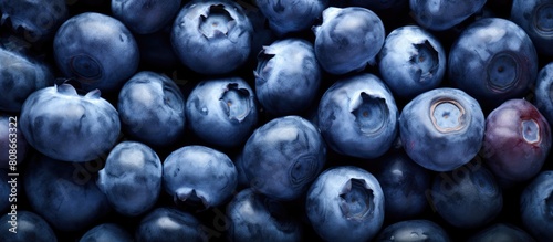 Close up macro texture background of fresh blueberries perfect for vegan and vegetarian concepts Ample copy space is available for your text