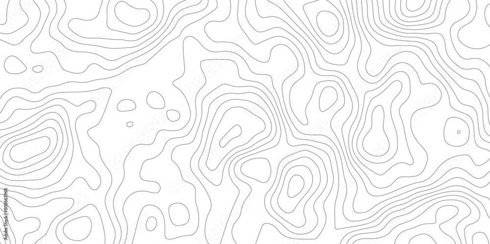 White topology topography vector abstract background map texture