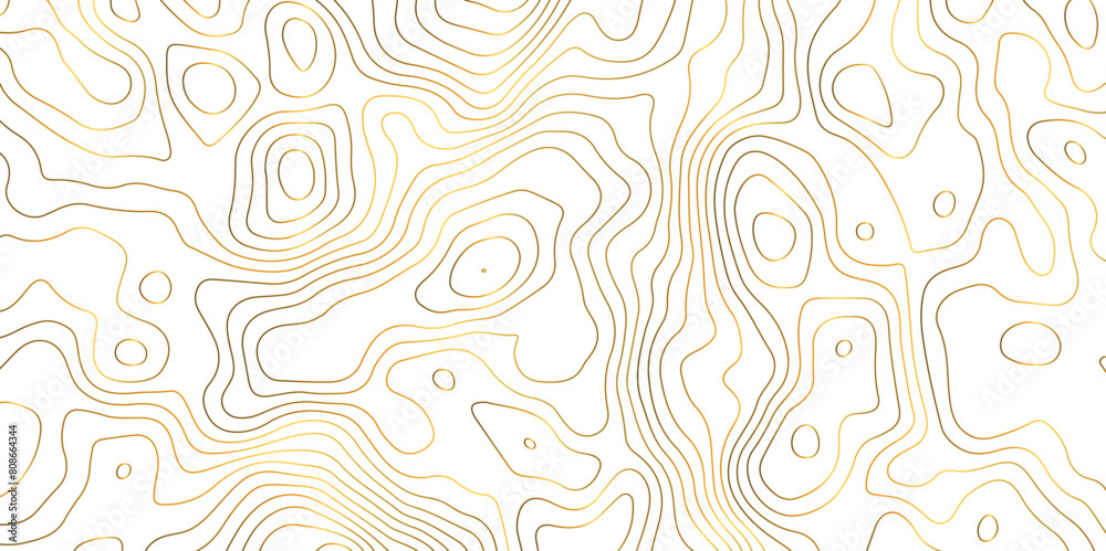 Golden gradient lines on white background abstract topography design digital vector wallpaper