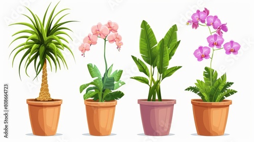 Plant pots for home interior decoration with flowers and green leaves  palm tree  dracaena  orchid and palm leaves. Modern cartoon set of planters.