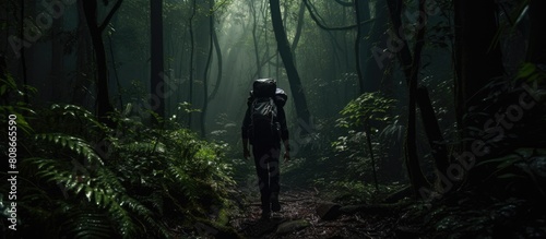 A man carrying a backpack navigates through the dense and shadowy depths of the forest. Copy space image. Place for adding text and design