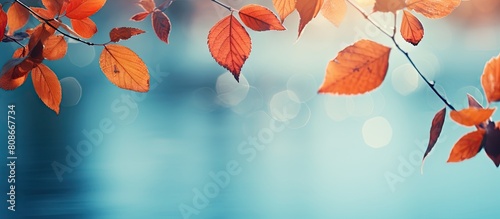 A vibrant backdrop of autumn leaves with a serene copy space image