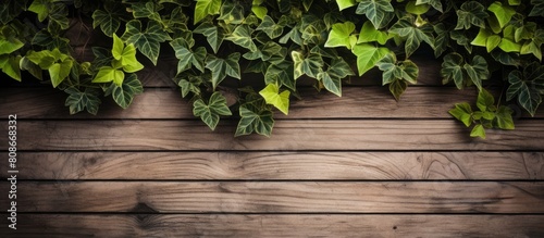 Close up copy space image of wooden boards with garden decor and ivy branches creating a natural wood background photo