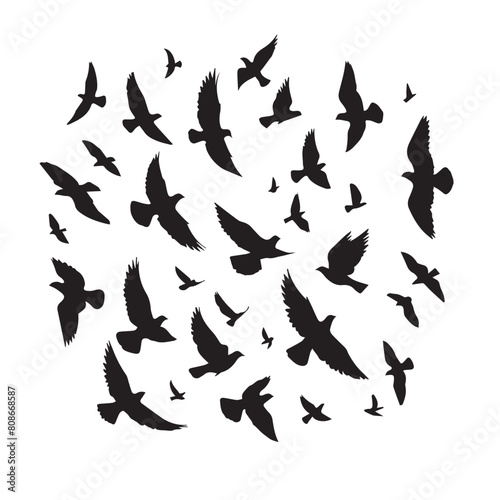 Vector set of birds flying in silhouette style