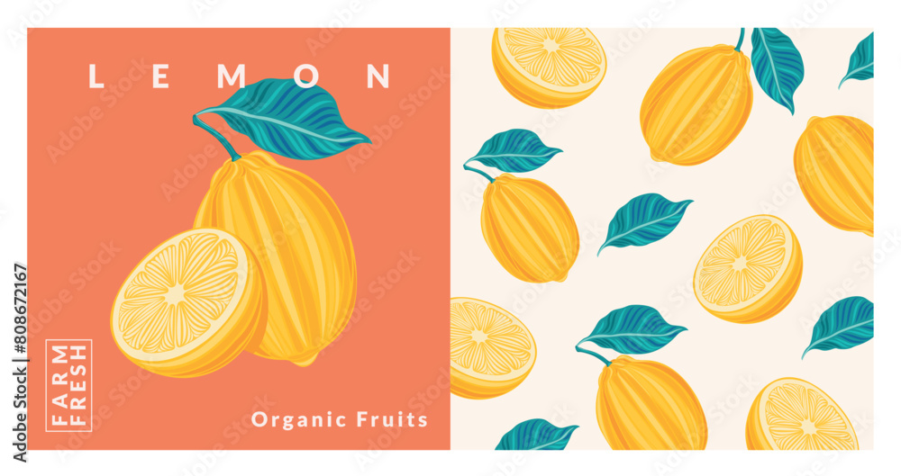 Lemon packaging design templates. Modern style vector illustration.