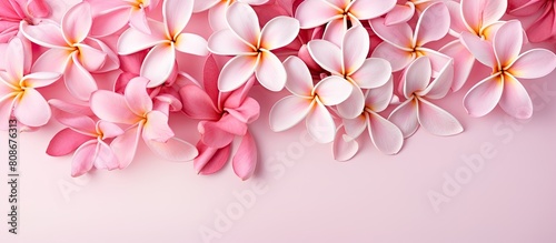 A mockup of plumeria flowers is seen in a flat lay arrangement on a pink background with copy space image