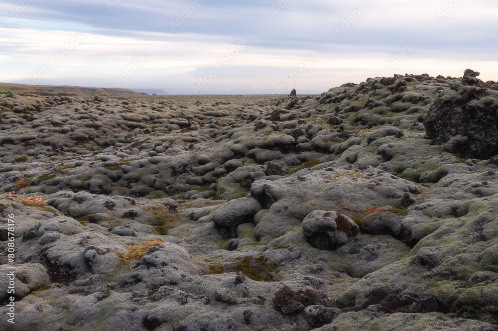 Mossy Lava Field in Iceland Mossy Lava Field in Iceland