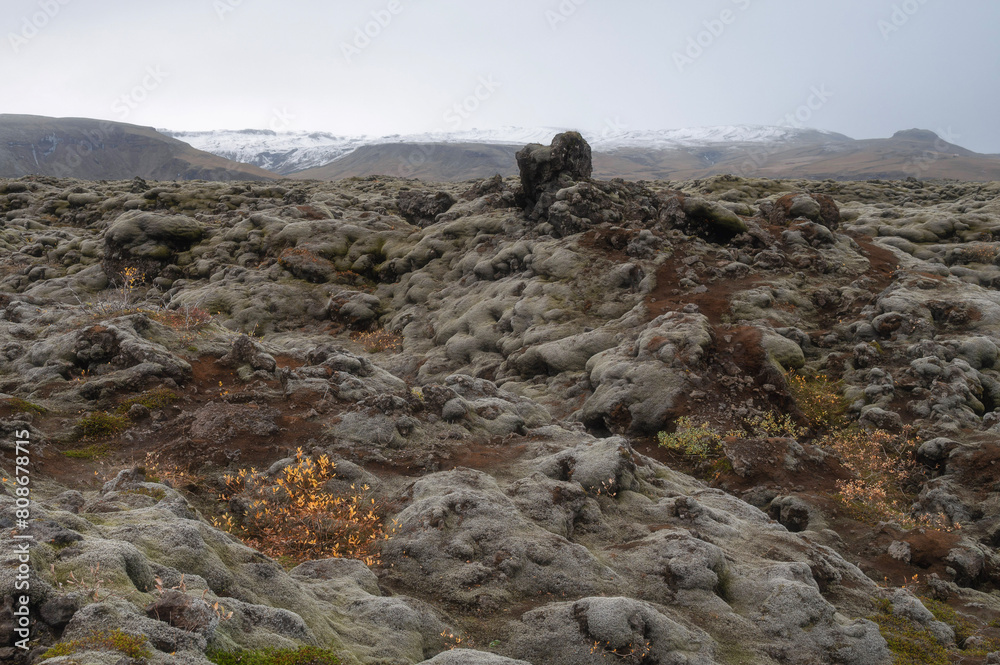 Obraz premium Mossy Lava Field in Iceland