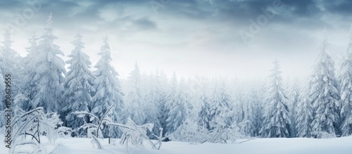 Snow covered tree branches in a winter forest create a blurry close up photo with a copy space image Perfect for a Christmas background