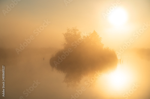 Dutch countryside during a foggy and tranquil sunrise.