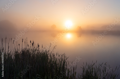 Dutch countryside during a foggy and tranquil sunrise. photo