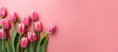 A stunning top view image of vibrant tulips adorning a pink background accompanied by red boxes This charming and versatile image can be used for Mothers Day weddings or joyful occasions There is amp #808682941