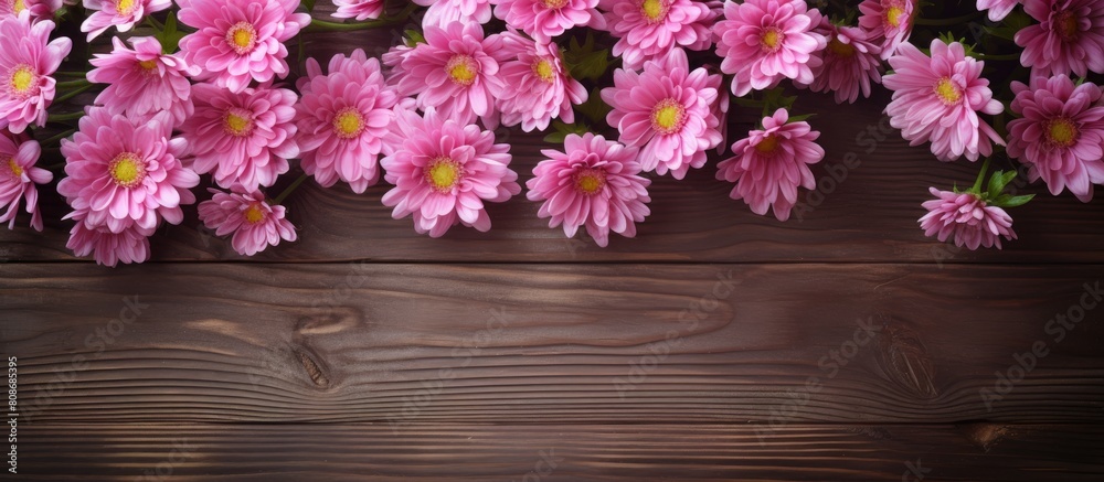 Aesthetic copy space image of delicate pink daisies blooming against a rustic wooden background Aesthetic copy space image of delicate pink daisies blooming against a rustic wooden background