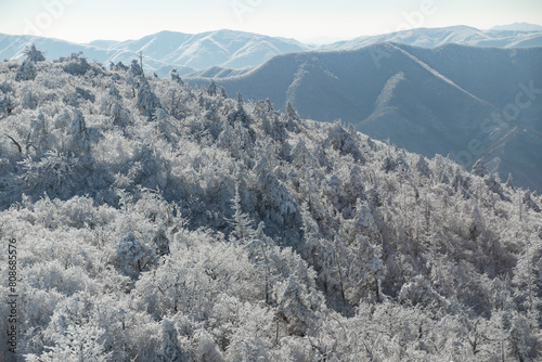 Mountain with the hoarfrost on the trees at Yongpyong Ski Resort, Mountain Winter South in Korea. photo