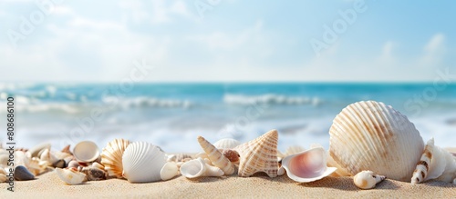 The summer beach background features sea shells scattered on white sand providing a picturesque setting with ample copy space for customization