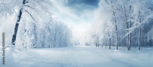 Winter forest with snow covered trees and a road A serene winter background capturing the essence of the season Ample copy space available © Ilgun