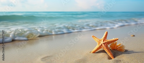 Beach scenery with a sea star in the sand available for copy space image