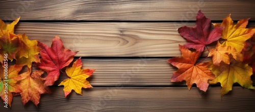 Autumn colored maple leaves have been arranged along the wooden boards creating a border The image offers copy space