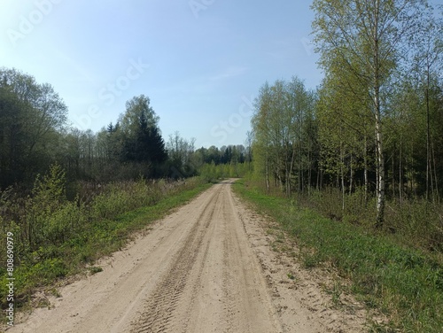 Road in forest in Siauliai county during sunny summer day. Oak and birch tree woodland. Sunny day with white clouds in blue sky. Bushes are growing in woods. Sandy road. Nature. Miskas.