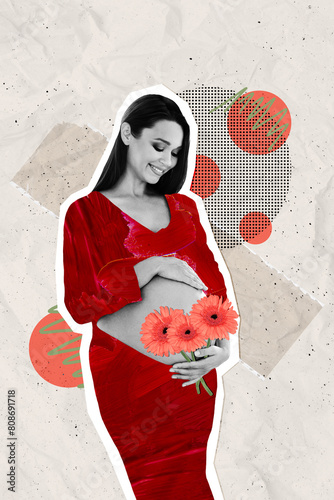 Vertical photo collage of happy pregnant girl belly receive flowers gerbera congratulations mother day isolated on painted background photo