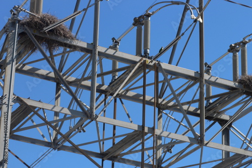 Bird nest on power lines on a sunny day