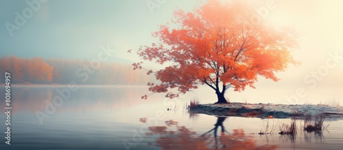 As the vibrant colors of autumn fade the anticipation of winter s arrival brings forth a serene beauty in nature A close up view with toning effects creates a captivating image. Copy space image