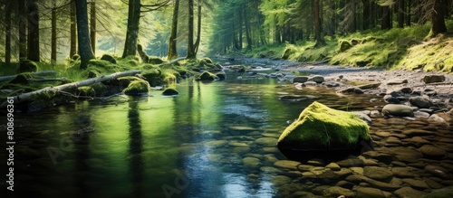 Scenic Little River flowing through the enchanting Bavarian forest copy space image