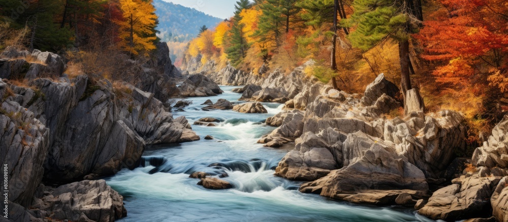 Obraz premium In autumn a stunning canyon filled with white wild water and cascades creates a picturesque scene that offers ample copy space for images
