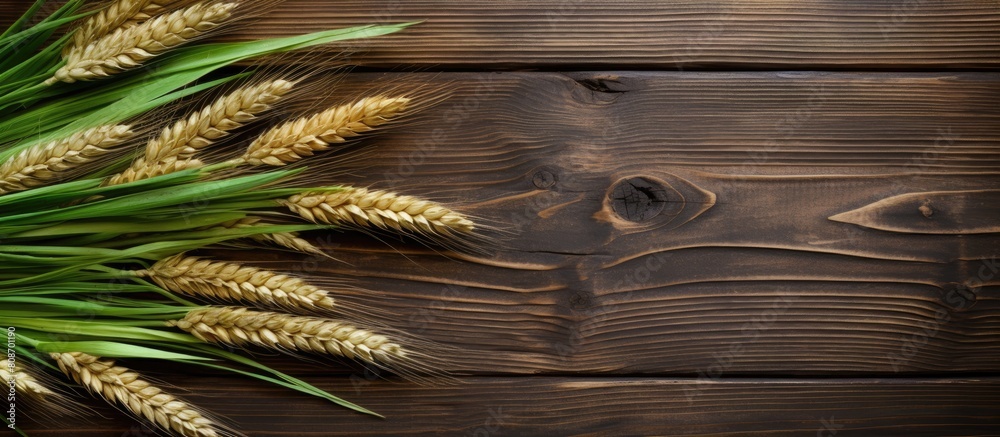 Fototapeta premium Copy space image of green rye ears placed on a wooden background with a harvest of grains displayed on the table creating a flat lay composition This concept image can be used for various purposes