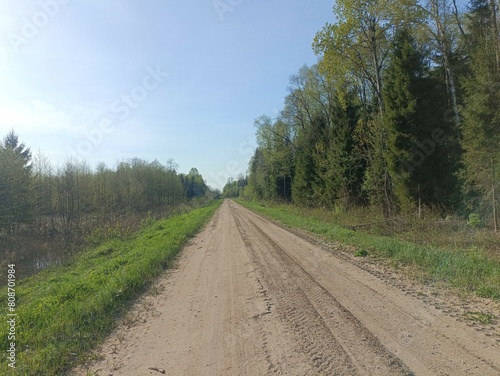 Road in forest in Siauliai county during sunny summer day. Oak and birch tree woodland. Sunny day with white clouds in blue sky. Bushes are growing in woods. Sandy road. Nature. Miskas. photo