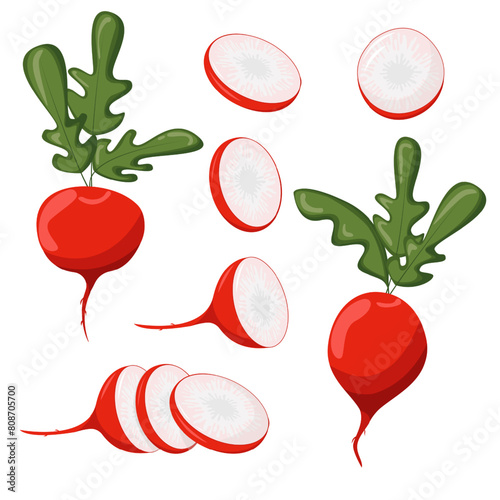 Radish cartoon icons set. Whole and sliced. Fresh food product element for sticker, grocery shop, farm store element.Vector illustration