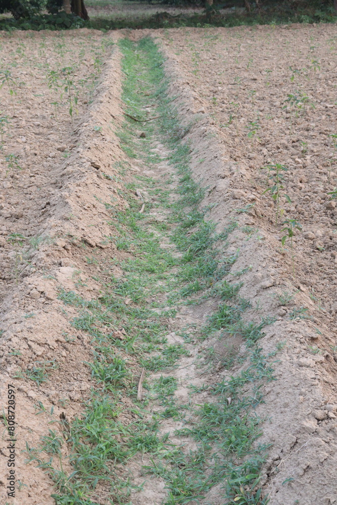 waterway channels earth canal view on field waterway channels earth canal view on field