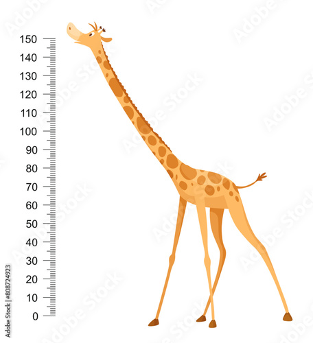 Funny giraffe. Cheerful funny giraffe with long neck. Giraffe meter wall or height chart or wall sticker. Illustration with scale from 0 to 150 centimeter to measure growth