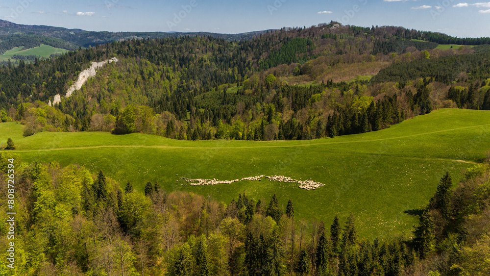 Pieniny National Park landscape , aerial drone view