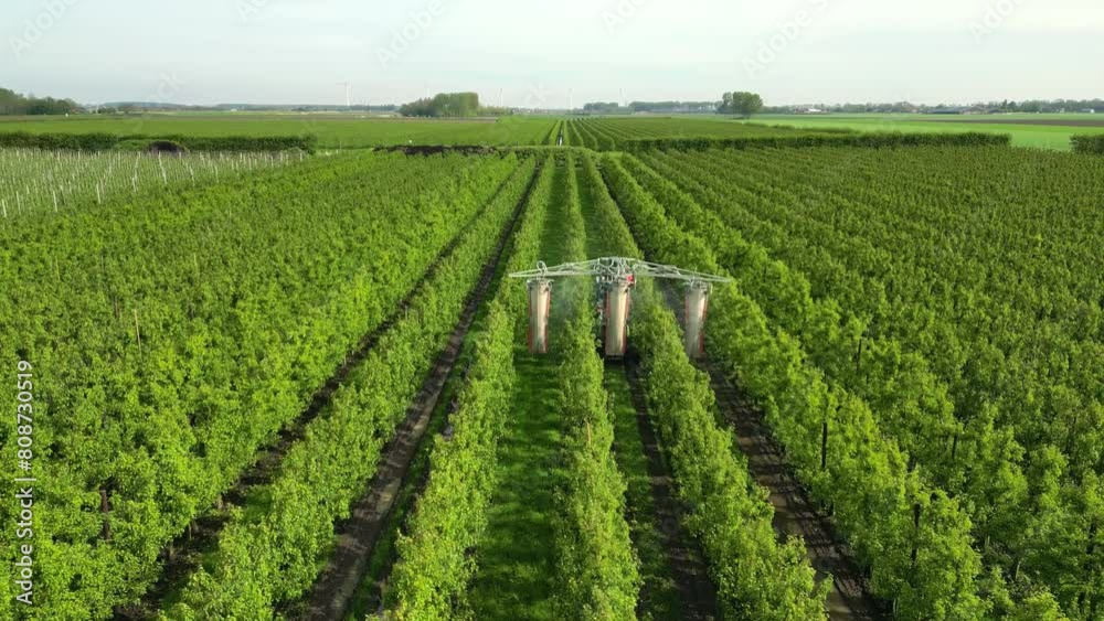 A gardener drives through his pear orchard and sprays crop protection products on the pears. A gardener drives through his pear orchard and sprays crop protection products on the pears.