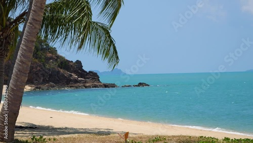 Dreamy scenery on lone tropical beach with palm tree photo