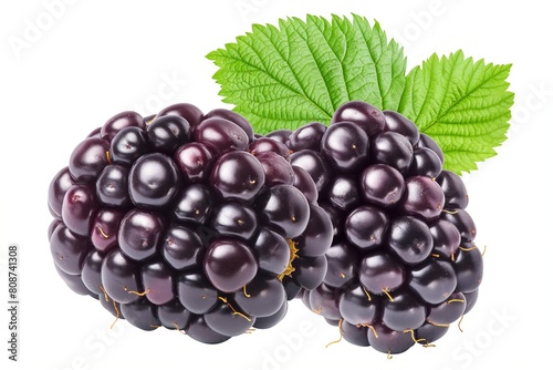Two ripe blackberries with a vibrant green leaf isolated on a white background, portraying natural freshness