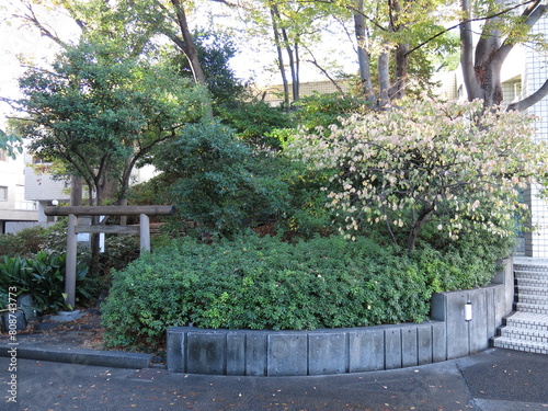 渋谷区の猿楽塚（猿楽神社）