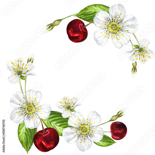 Watercolor frame of white flowers and cherries. Beautiful frame with cherry flowers, cherries, leaves, hand drawn.