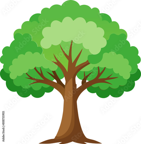 oak tree illustration