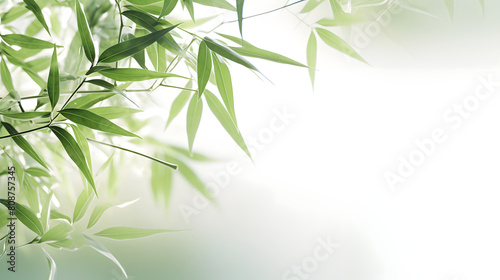 Digital abstract green bamboo soft dreamy tones illustration graphic poster background