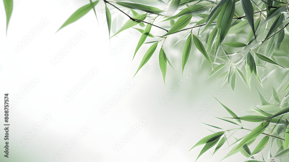 Digital abstract green bamboo soft dreamy tones illustration graphic poster background Digital abstract green bamboo soft dreamy tones illustration graphic poster background