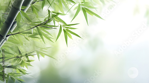Digital abstract green bamboo soft dreamy tones illustration graphic poster background