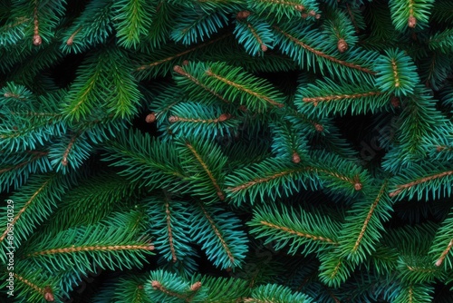 Beautiful seamless pattern with fir tree branches  coniferous forest endless texture. Evergreen nature background. Christmas or new year backdrop.