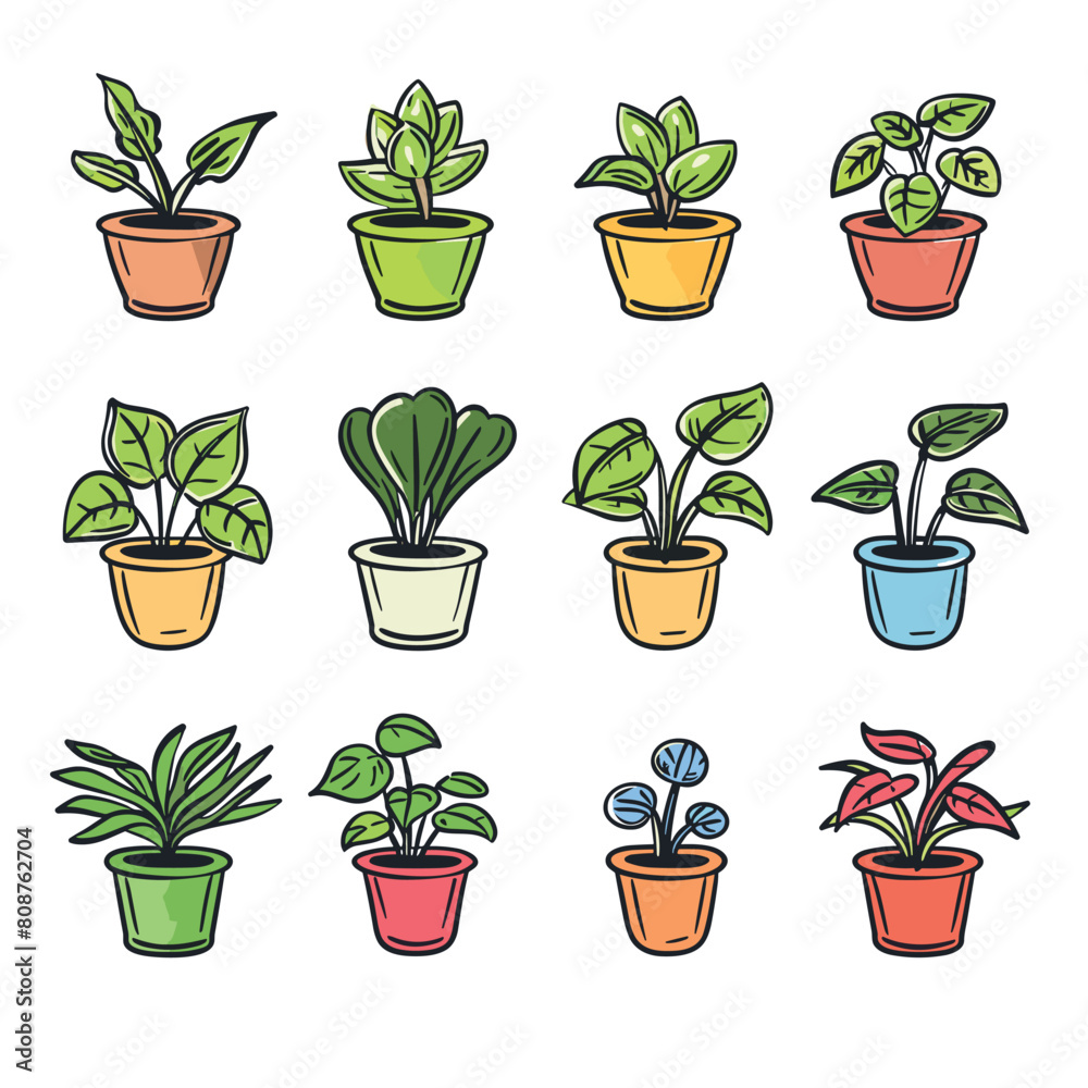 Fototapeta premium Collection colorful potted plants, diverse foliage, houseplants set. Handdrawn style, indoor plant, botanical, potted houseplants, home interior