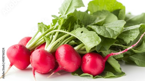Close up of fresh Radishes on a white Background