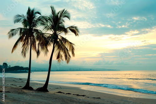 Two palm tree stands tall on sandy beach during sunset