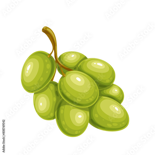 Bunch of green grapes, cartoon sweet food of kids lunchbox. Funny juicy fresh ripe muscat grapes, cartoon cute berry dessert for lunch of child, juicy healthy vitamin snack vector illustration
