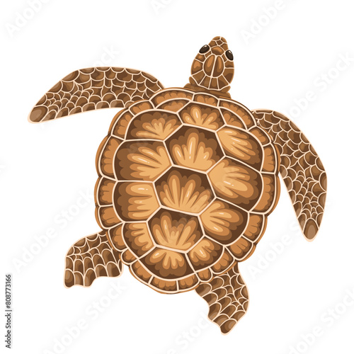 Swimming turtle, cartoon sea and ocean animal. Top view of brown slow tortoise with shell, funny underwater reptile of coral reefs and tropical waters, cartoon diving turtle vector illustration
